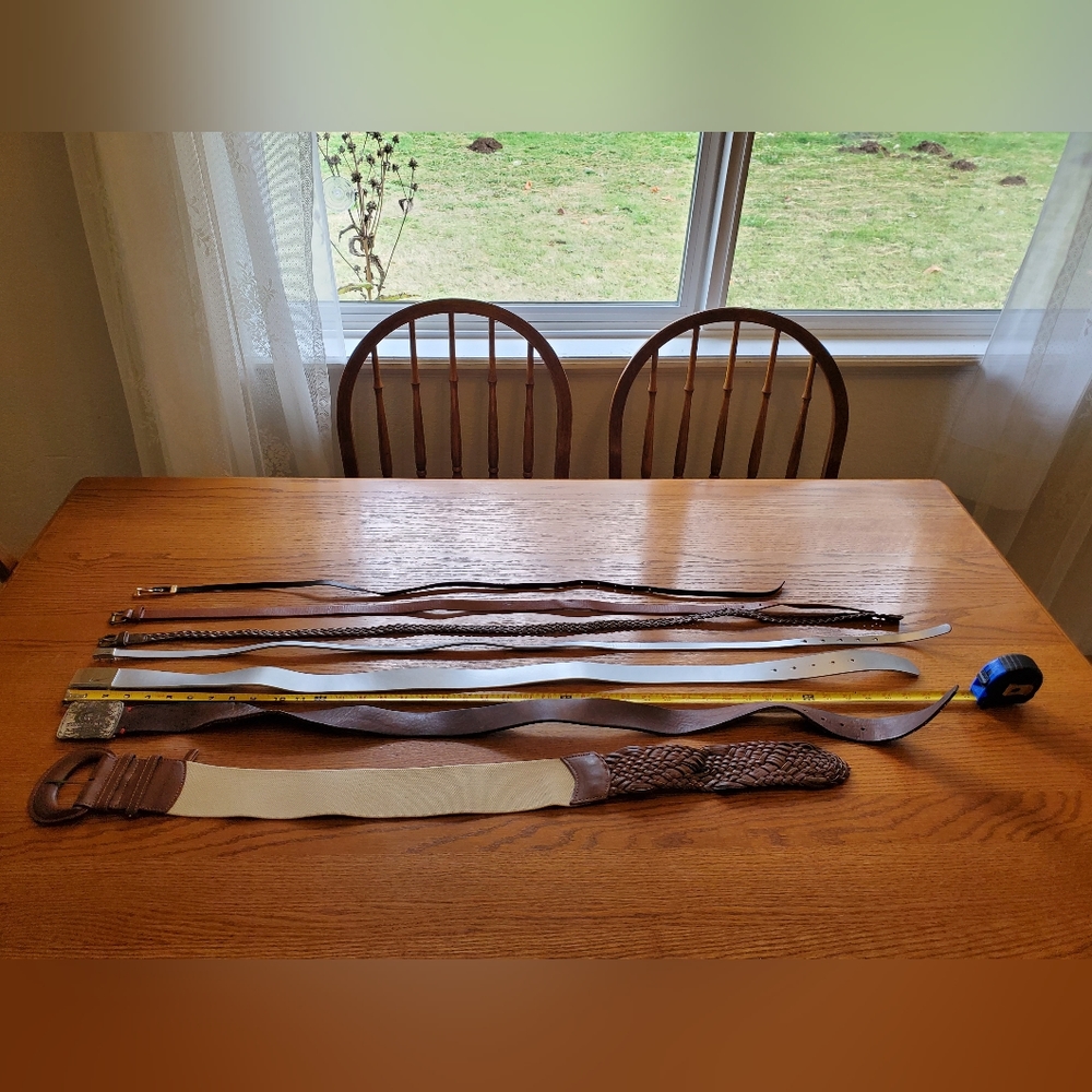 Various Women’s Belts Lot